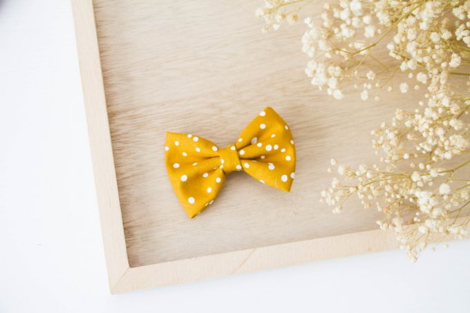Barrette        
